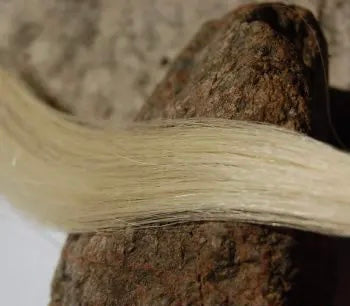 Sinettipidennykset #60 Platinum Blonde